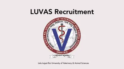 LUVAS Apprentice Recruitment 2024