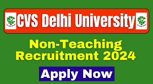 VS Delhi University Non-Teaching Recruitment 2024