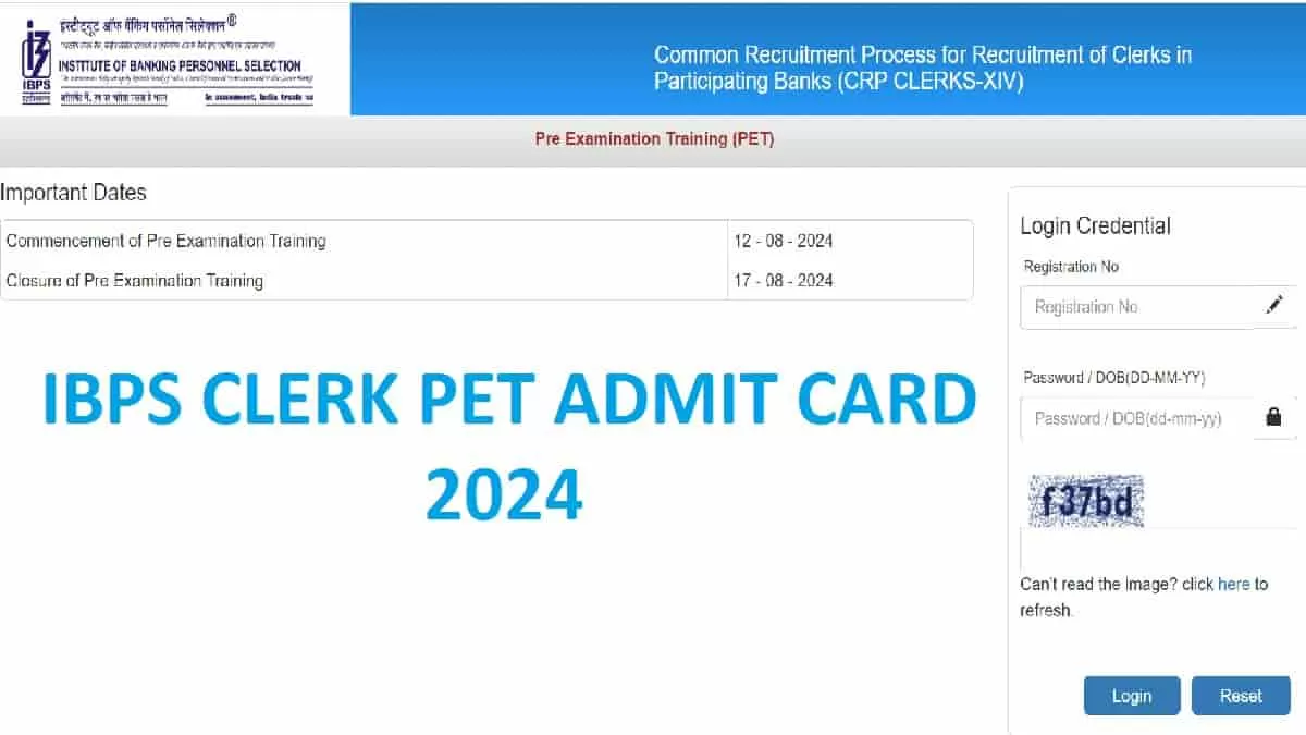 IBPS Clerk Admit Card Download 2024
